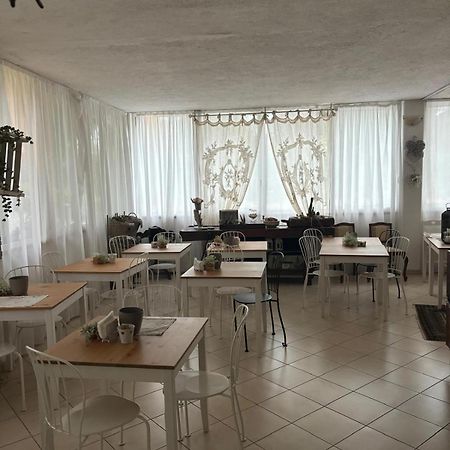Casa Versilia Hotel Marina di Massa Eksteriør billede